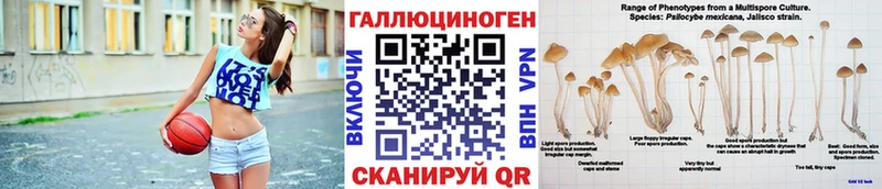 Купить  Россошь  Галлюциногенные грибы GOLDEN TEACHER 