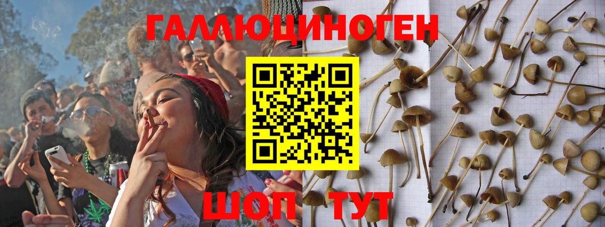 Псилоцибиновые грибы прущие грибы  Вход с VPN  Россошь 